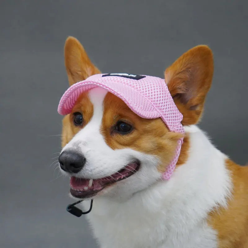 Breathable Pet Hat – Cute & Comfortable