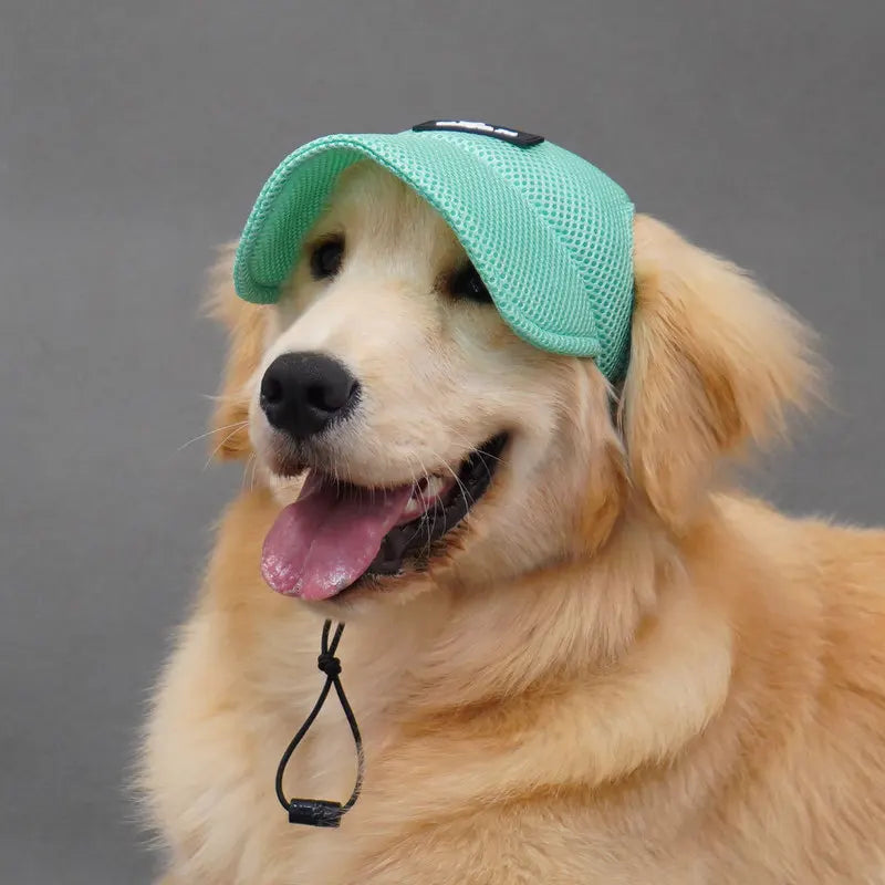Breathable Pet Hat – Cute & Comfortable