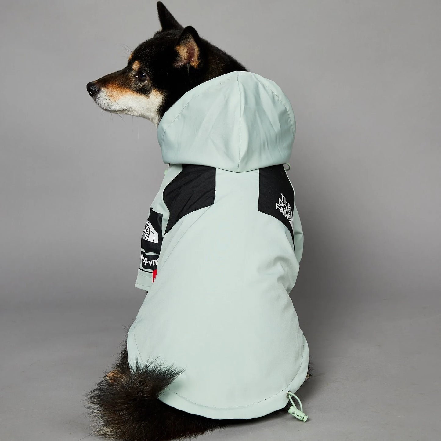Dog Raincoat - Windproof & Waterproof Jacket