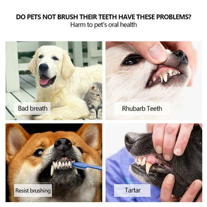 Multi Angle Toothbrush - 3-Sided