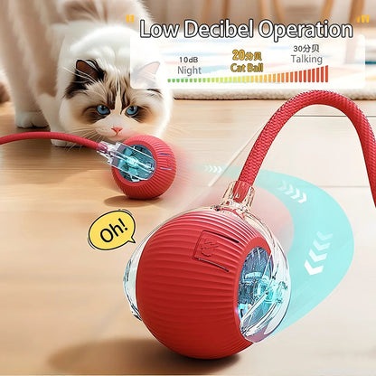 Interactive Ball Toy - Automatic Rolling