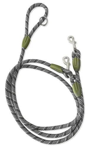 Reflective Hands-Free Dog Leash – Adjustable Bungee