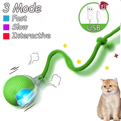 Interactive Ball Toy - Automatic Rolling