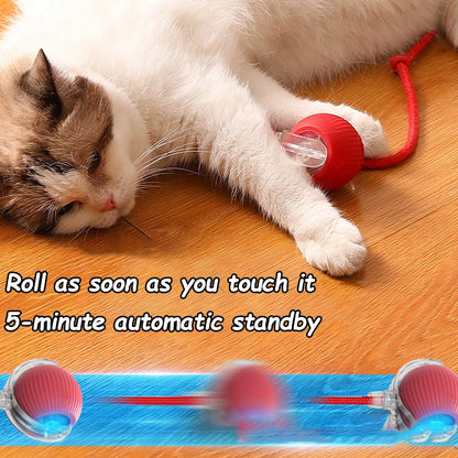 Interactive Ball Toy - Automatic Rolling
