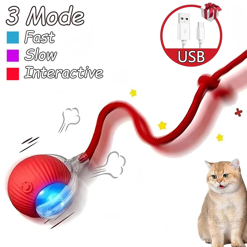 Interactive Ball Toy - Automatic Rolling