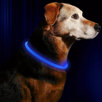 LED Dog Collar – USB Rechargeable, Luminous & Anti-Lost