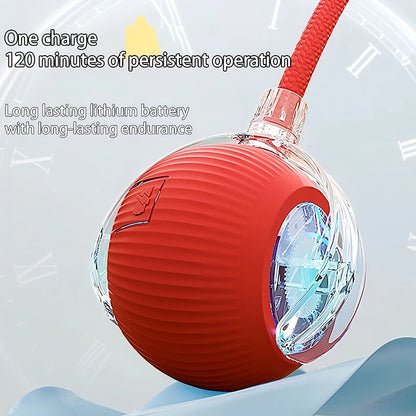 Interactive Ball Toy - Automatic Rolling