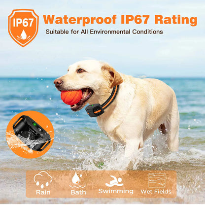 Waterproof Dog Training Collar - Shock & Vibration