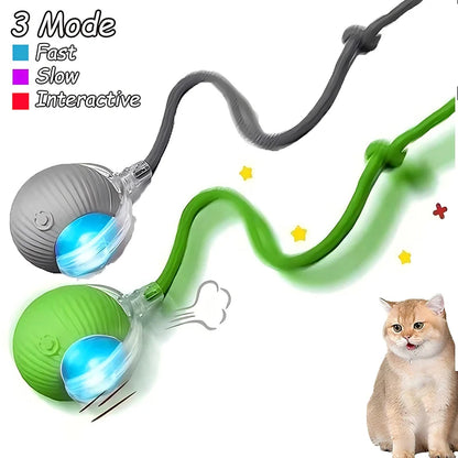 Interactive Ball Toy - Automatic Rolling