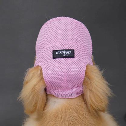 Breathable Pet Hat – Cute & Comfortable