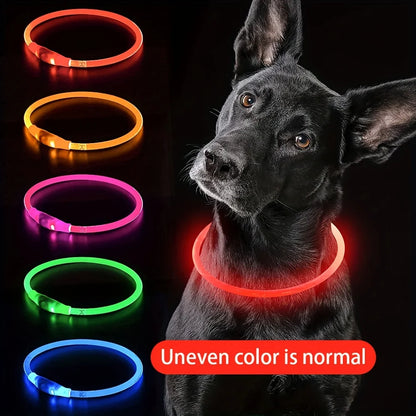 LED Dog Collar – USB Rechargeable, Luminous & Anti-Lost