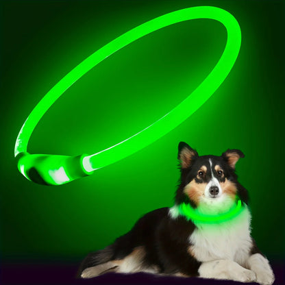 LED Dog Collar – USB Rechargeable, Luminous & Anti-Lost