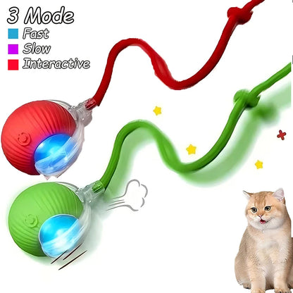 Interactive Ball Toy - Automatic Rolling
