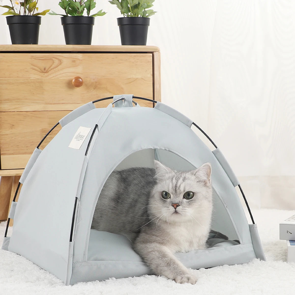 Pet Tent For Warmth And Comfort