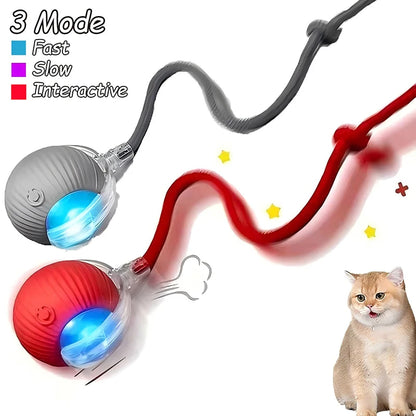Interactive Ball Toy - Automatic Rolling