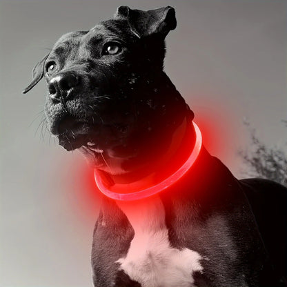 LED Dog Collar – USB Rechargeable, Luminous & Anti-Lost