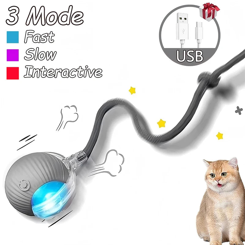 Interactive Ball Toy - Automatic Rolling