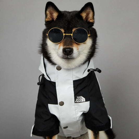 Dog Raincoat - Windproof & Waterproof Jacket